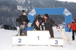 Lenk 2012 SM